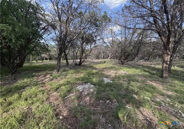 Photo 4 of Land for sale at 2303 Prickley Pear Rd, Belton, TX 76513 | MLS# 577895 | Listing updated on 2026-05-25