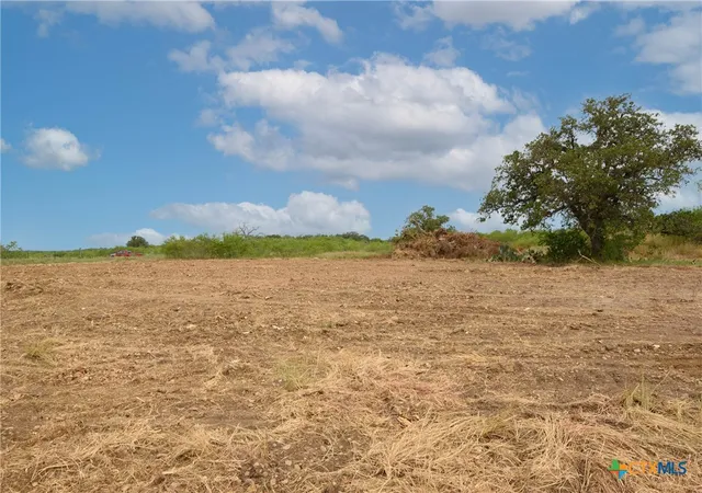 Photo 3 of Land for sale at Tbd County Rd 465 W, Gonzales, TX 78629 | MLS# 577625 | Listing updated on 2026-02-09