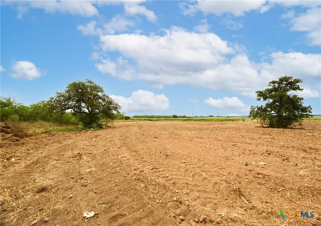 Photo 4 of Land for sale at Tbd County Rd 465 W, Gonzales, TX 78629 | MLS# 577625 | Listing updated on 2026-02-09