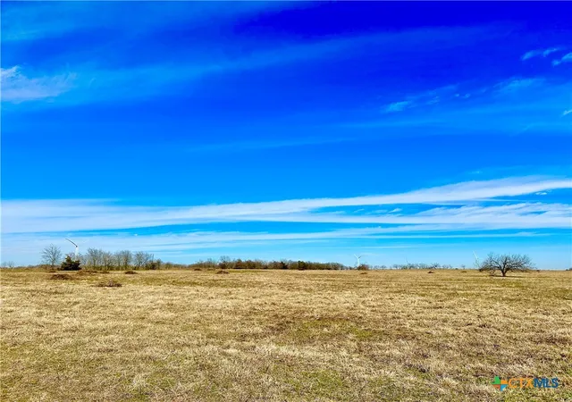 Homes for sale in Mount Calm, TX | Tract 7 Fm 339, Mount Calm, TX 76673 | MLS# 577983