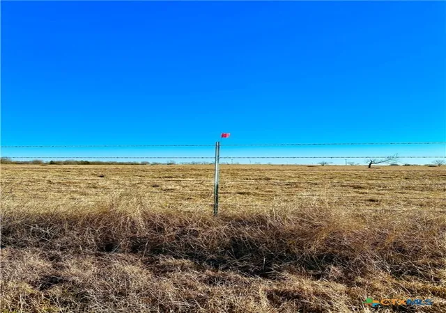 Homes for sale in Mount Calm, TX | Tract 7 Fm 339, Mount Calm, TX 76673 | MLS# 577983