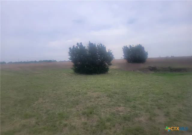 4th image of 4453 County Road 619 Road, Hamilton, TX 76531 | MLS# 573986