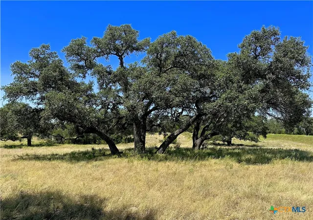 Photo 3 of Land for sale at Lot 231 Winecup Dr, Lampasas, TX 76550 | MLS# 579085 | Listing updated on 2026-10-05