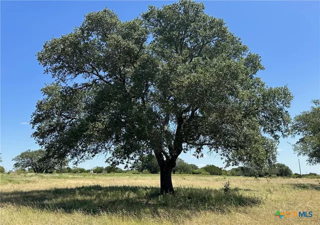Photo 4 of Land for sale at Lot 231 Winecup Dr, Lampasas, TX 76550 | MLS# 579085 | Listing updated on 2026-10-05