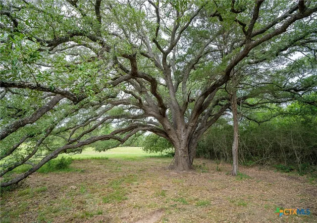 1st image of Tbd Fm 713 Hwy, Rosanky, TX 78953 | MLS# 579121