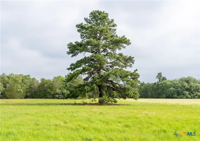 5th image of Tbd Fm 713 Hwy, Rosanky, TX 78953 | MLS# 579121