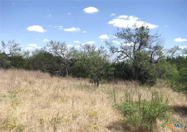 Homes for sale in Evant, TX | Lot 23 Phase 1 Pr 4218, Evant, TX 76525 | MLS# 580781