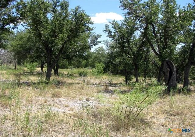 Homes for sale in Evant, TX | Lot 23 Phase 1 Pr 4218, Evant, TX 76525 | MLS# 580781