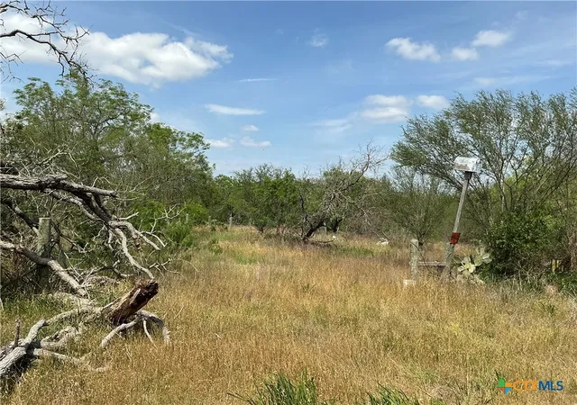 Homes for sale in Smiley, TX | 1066 Robertson Rd, Smiley, TX 78159 | MLS# 581058