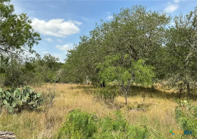 Homes for sale in Smiley, TX | 1066 Robertson Rd, Smiley, TX 78159 | MLS# 581058