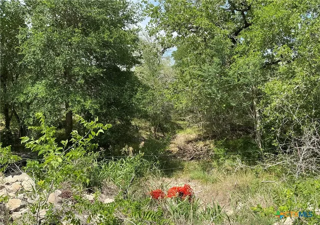 Homes for sale in Smiley, TX | 1066 Robertson Rd, Smiley, TX 78159 | MLS# 581058