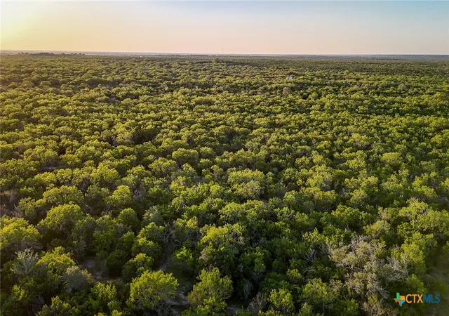 Photo 3 of Land for sale at 000 County Line Rd # 120, Beeville, TX 78102 | MLS# 581571 | Listing updated on 2026-05-15