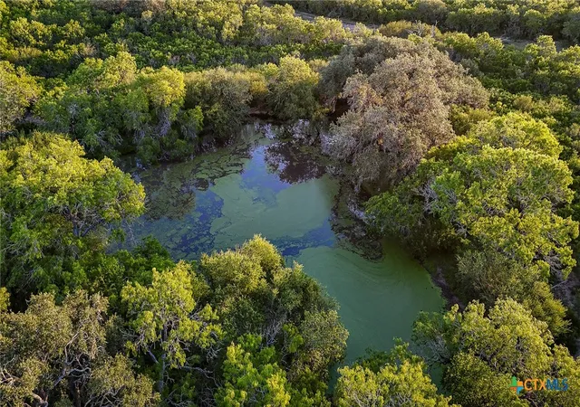 Photo 3 of Land for sale at 000 County Line Rd # 120, Beeville, TX 78102 | MLS# 581571 | Listing updated on 2026-05-15