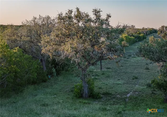 Photo 4 of Land for sale at 000 County Line Rd # 120, Beeville, TX 78102 | MLS# 581571 | Listing updated on 2026-05-15