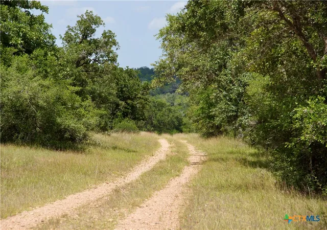 3rd image of 000 Zengerle Rd Tract 11, Thomaston, TX 77989 | MLS# 581880