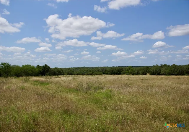 4th image of 000 Zengerle Rd Tract 12, Thomaston, TX 77989 | MLS# 581881