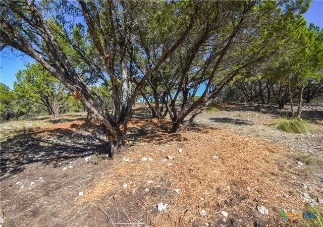 3rd image of 20008 Charlestown Cvs, Leander, TX 78645 | MLS# 582060