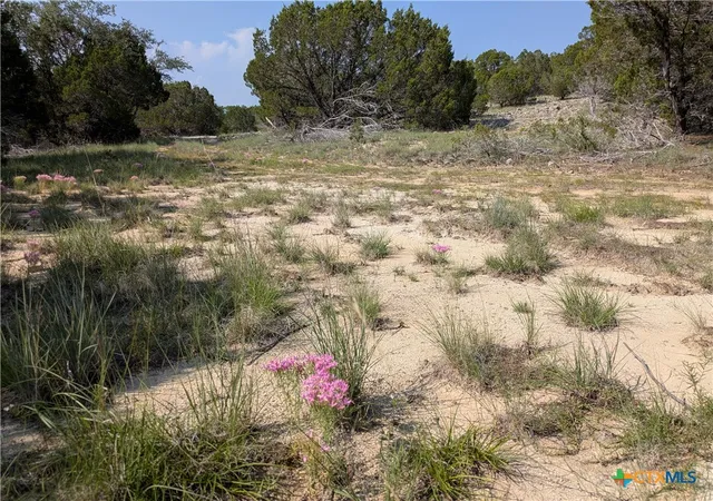 Photo 3 of Land for sale at Tract 4 County Road 4390, Kempner, TX 76539 | MLS# 582685 | Listing updated on 2026-03-07