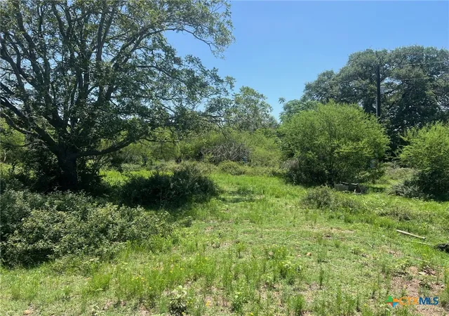 Photo 3 of Land for sale at 289 Cr 427 Rd, Yoakum, TX 77987 | MLS# 582674 | Listing updated on 2026-06-03