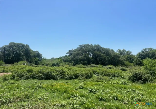Photo 4 of Land for sale at 289 Cr 427 Rd, Yoakum, TX 77987 | MLS# 582674 | Listing updated on 2026-06-03