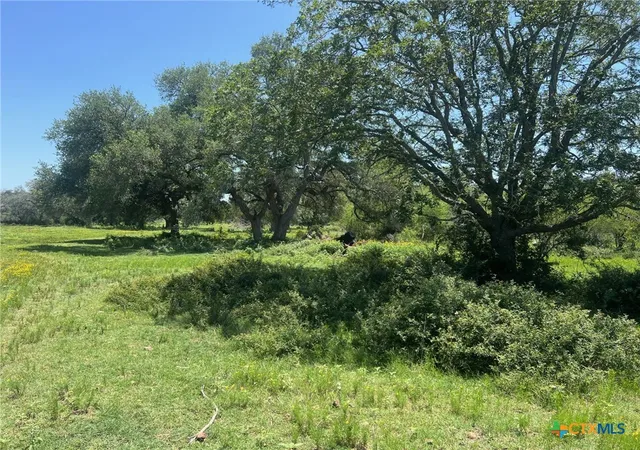 9th image of 289 Cr 427 Rd, Yoakum, TX 77987 | MLS# 582674