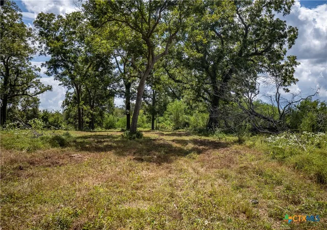 Photo 48 of Land for sale at 000 Fm 766, Cuero, TX 77954 | MLS# 583146 | Listing updated on 2026-07-02
