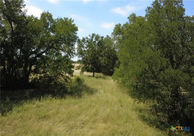 26th image of 16176 Audrey Ln, Holland, TX 76534 | MLS# 583719