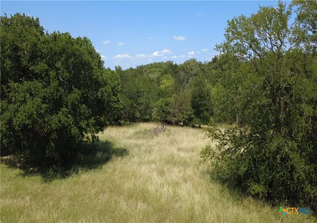 5th image of 16176 Audrey Ln, Holland, TX 76534 | MLS# 583719