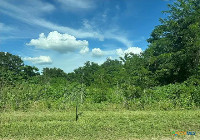 Homes for sale in Marlin, TX | Tbd County Road 287, Marlin, TX 76661 | MLS# 583863