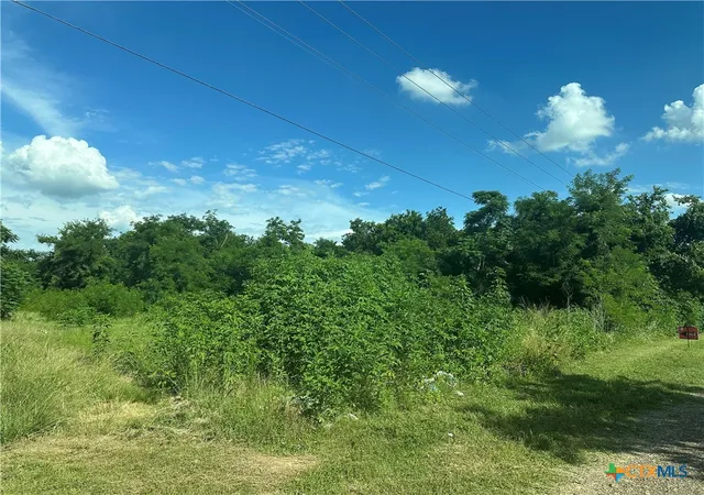 Homes for sale in Marlin, TX | Tbd County Road 287, Marlin, TX 76661 | MLS# 583863