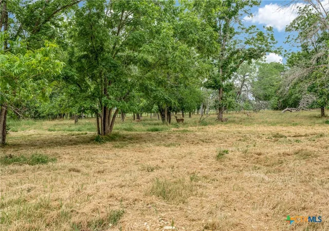 Homes for sale in Adkins, TX | 10767 Rosemar Ln, Adkins, TX 78101 | MLS# 584402