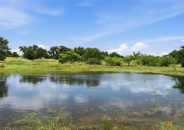 Photo 3 of Land for sale at TX | 5230 County Road 409,TX 76885 | MLS# 585180 | Listing updated on 2026-10-02