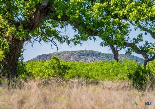 Photo 3 of Land for sale at TX | 5230 County Road 409,TX 76885 | MLS# 585180 | Listing updated on 2026-10-02