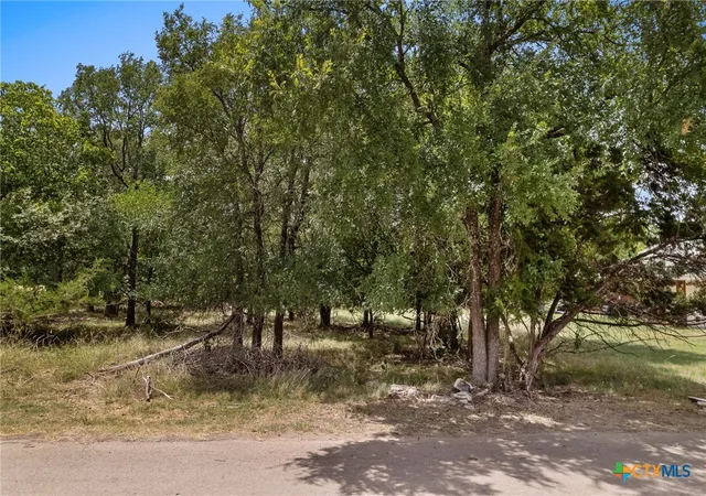 Homes for sale in Belton, TX | 49 Buttercup Loop, Belton, TX 76513 | MLS# 585633