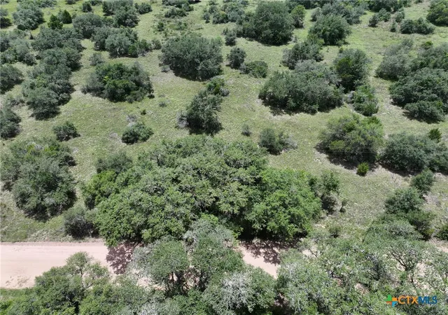 10th image of 0000 Terryville Church Rd, Yoakum, TX 77995 | MLS# 585817