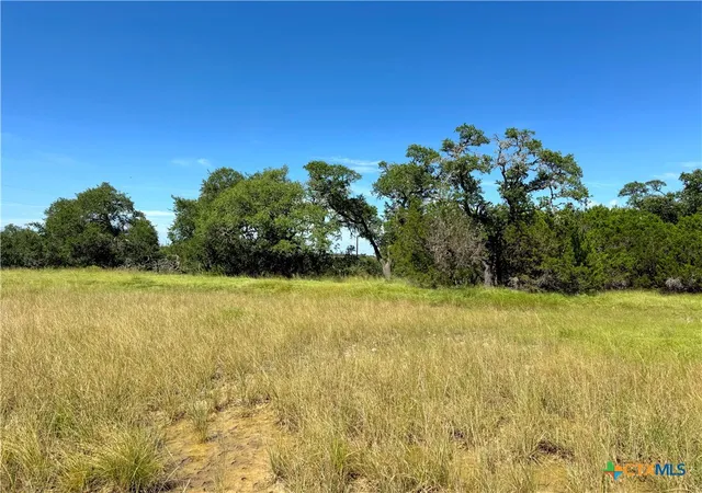 11th image of 311 Toucan Dr, Spring Branch, TX 78070 | MLS# 586901