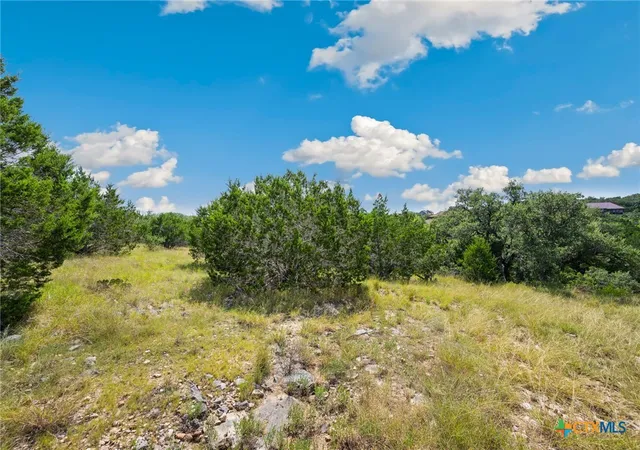 3rd image of 428 Cavy Rd, New Braunfels, TX 78132 | MLS# 587636