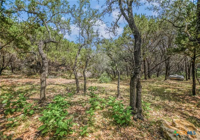 Homes for sale in Wimberley, TX | 264 Hill Country Trl, Wimberley, TX 78676 | MLS# 586278