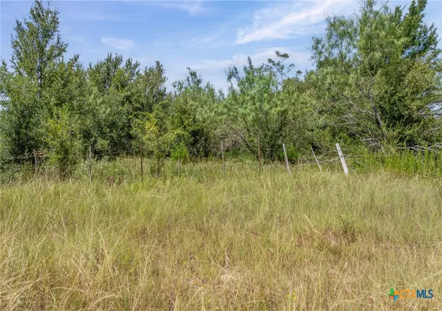 20th image of Tbd Moss Springs Rd, Kosse, TX 76653 | MLS# 588339