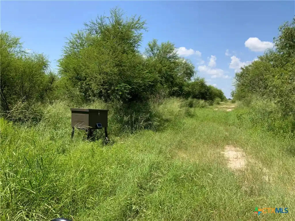 Photo 1 of Land for sale at 2 County Rd 1144 #2, Sinton, TX 78387 | MLS# 588738 | Listing updated on 2026-10-12