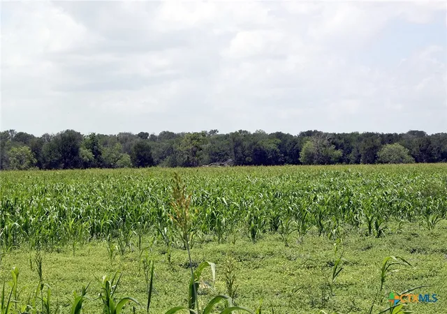 2nd image of 9411 Fm 86, Lockhart, TX 78644 | MLS# 589194