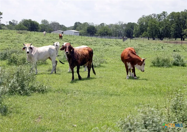 5th image of 9411 Fm-86, Lockhart, TX 78644 | MLS# 589194