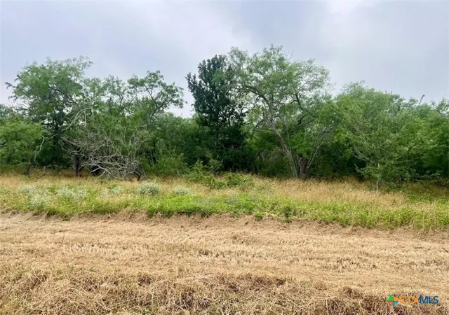 Homes for sale in Smiley, TX | Lot 8 Wisteria Ln, Smiley, TX 78159 | MLS# 588421
