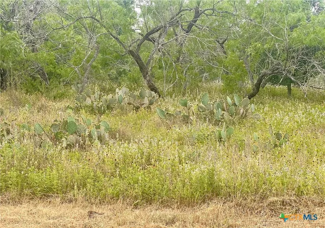 Homes for sale in Smiley, TX | Lot 14 Wisteria Ln, Smiley, TX 78159 | MLS# 588423