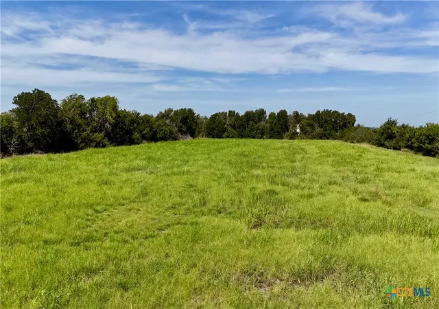 Homes for sale in Schulenburg, TX | Tract 1 Fm 615, Schulenburg, TX 78956 | MLS# 589264