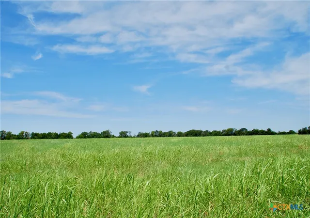 16th image of Tract 4 Company Field Rd, Schulenburg, TX 78956 | MLS# 589681