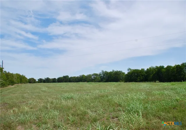 Homes for sale in Schulenburg, TX | Tract 5 Company Field Rd, Schulenburg, TX 78956 | MLS# 589701