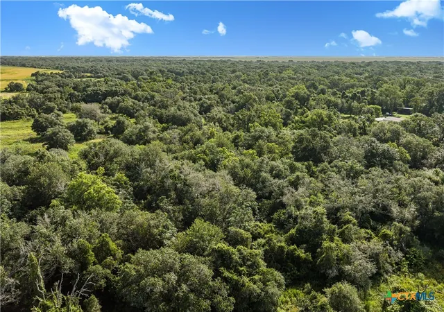 5th image of 0 Cr 394, El Campo, TX 77437 | MLS# 590035