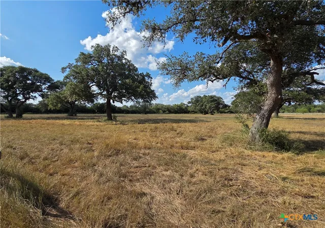 Homes for sale in Yorktown, TX | 0000 Slickfield Rd, Yorktown, TX 78164 | MLS# 590490