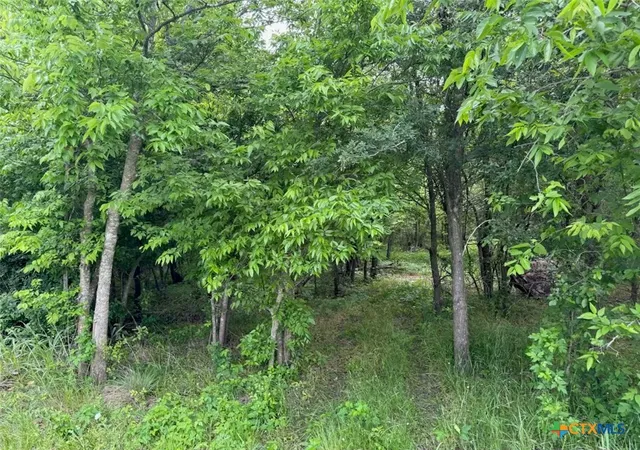 37th image of 212 Cr 362, Rosebud, TX 76570 | MLS# 590528